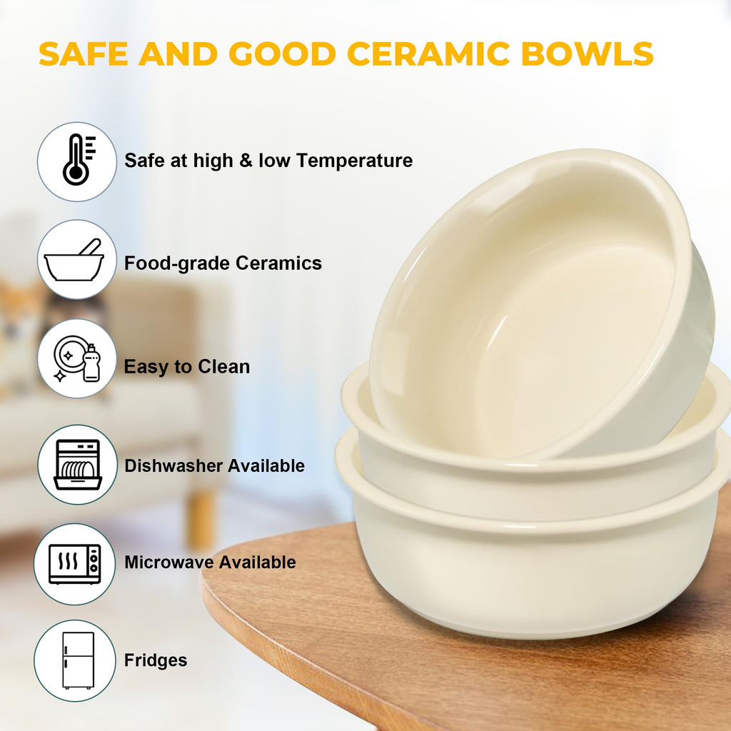 Raised Ceramic Dog Bowl Set