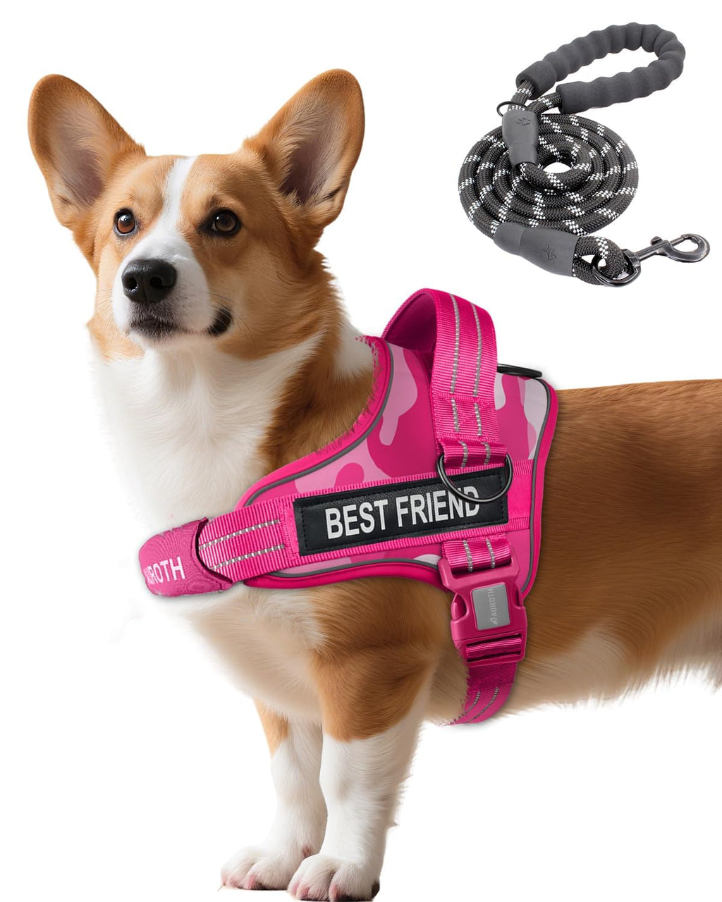 Padded Dog Harness & Leash Set