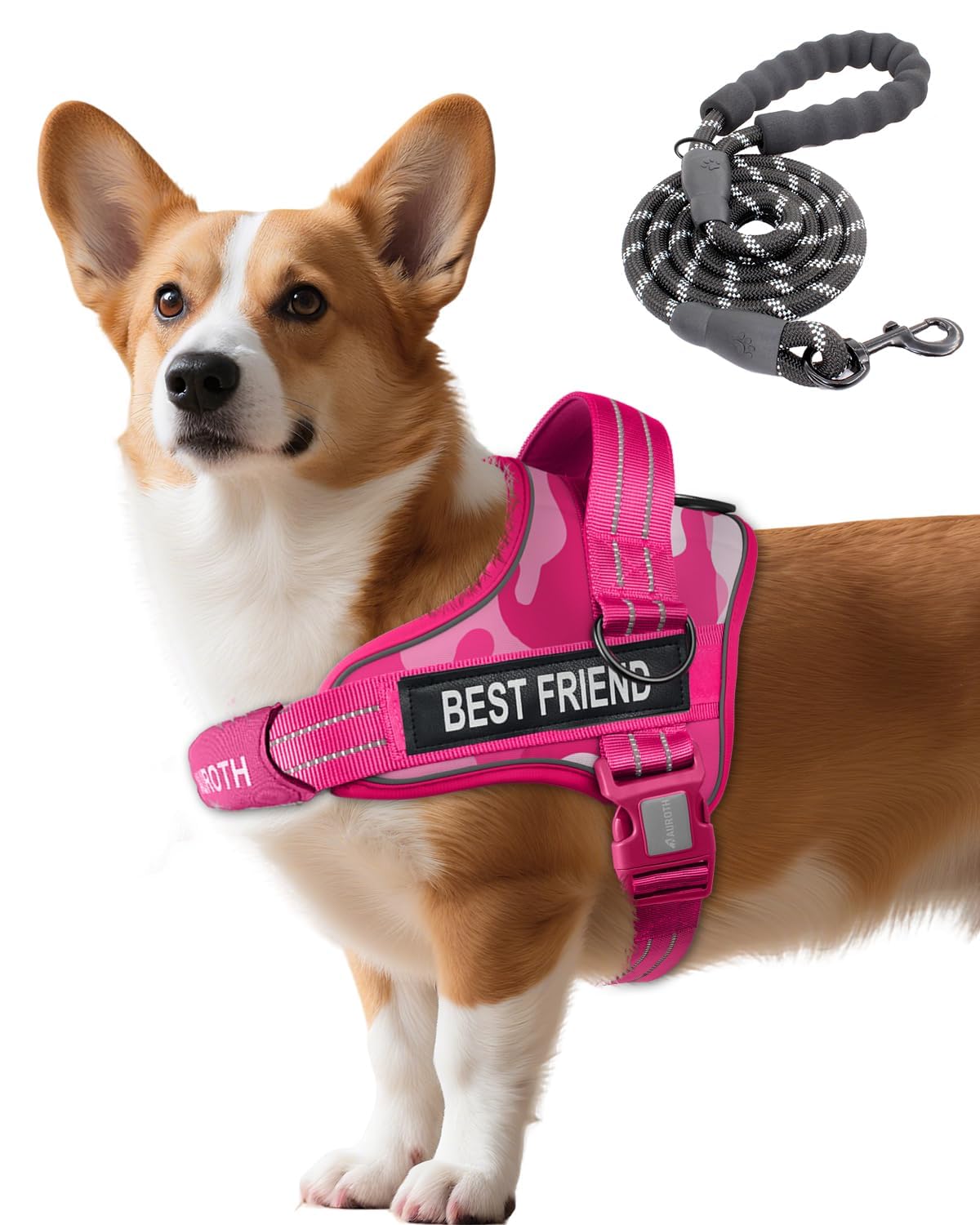 Padded Dog Harness & Leash Set