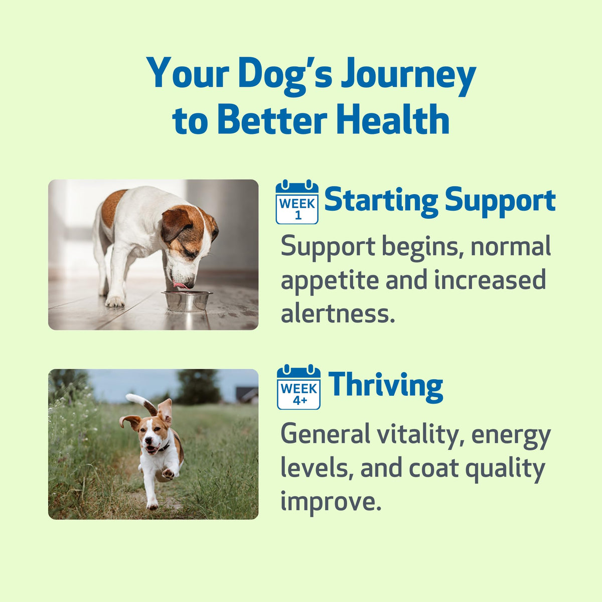 Herbal Dog Wellness Supplement