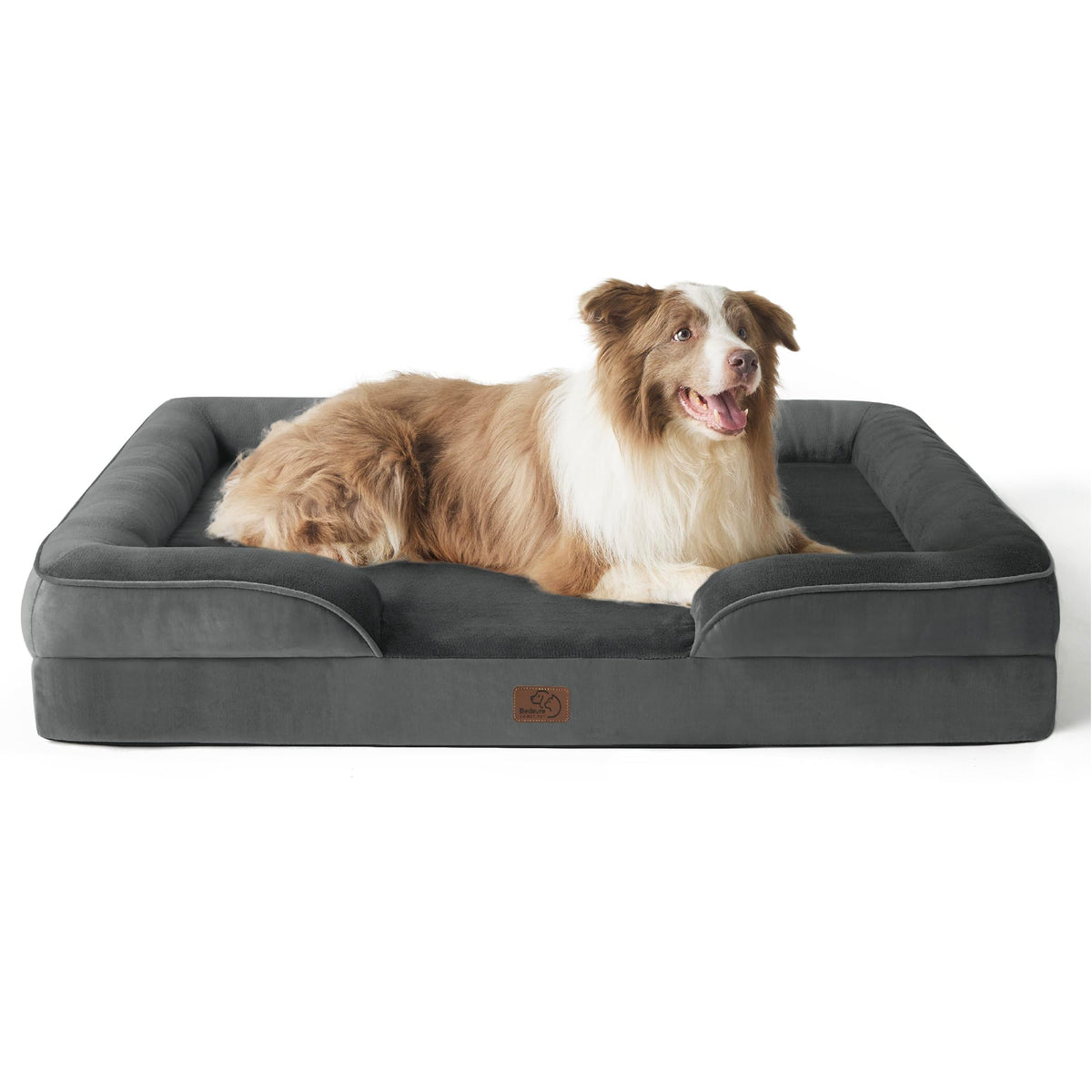 Bolstered Foam Dog Bed