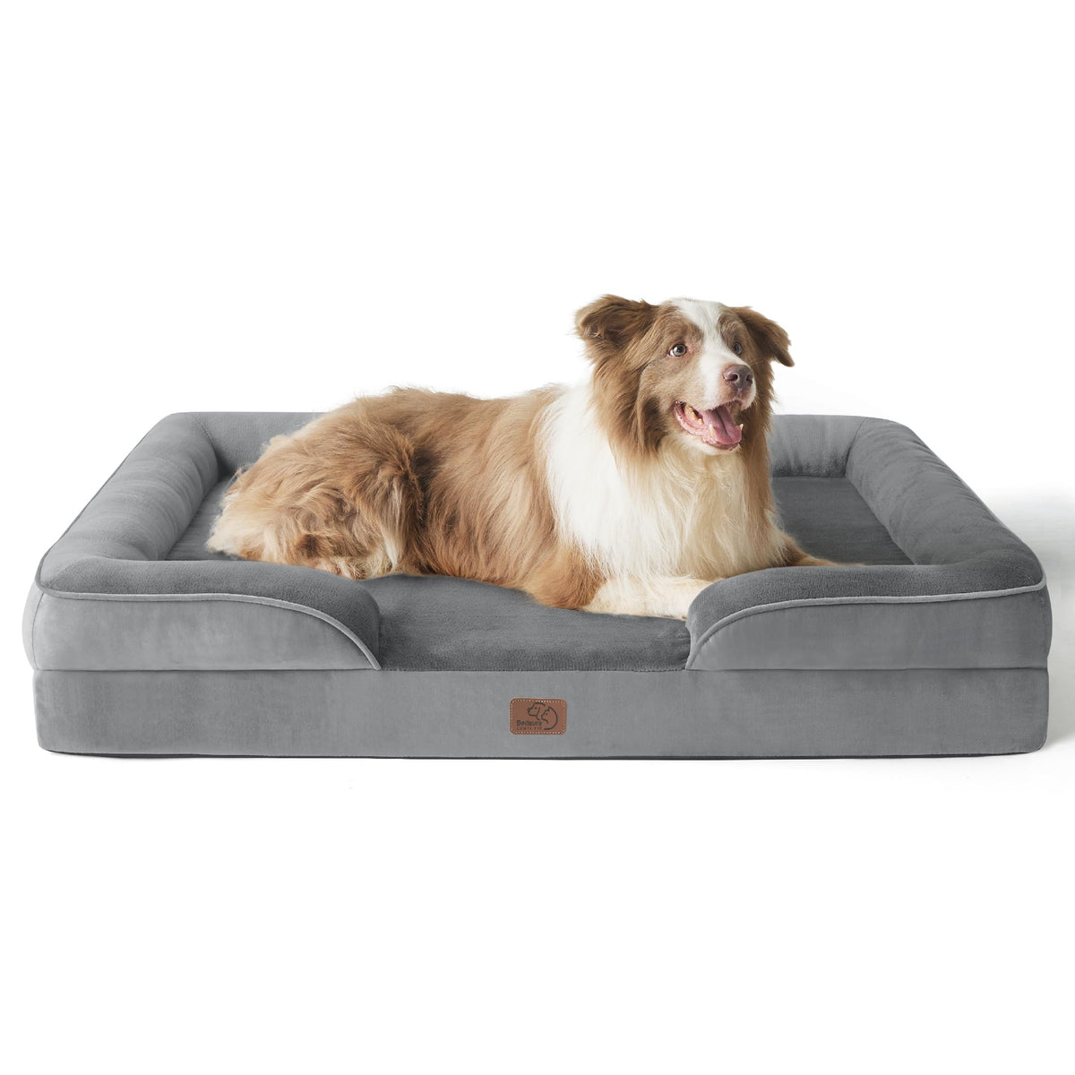 Bolstered Foam Dog Bed