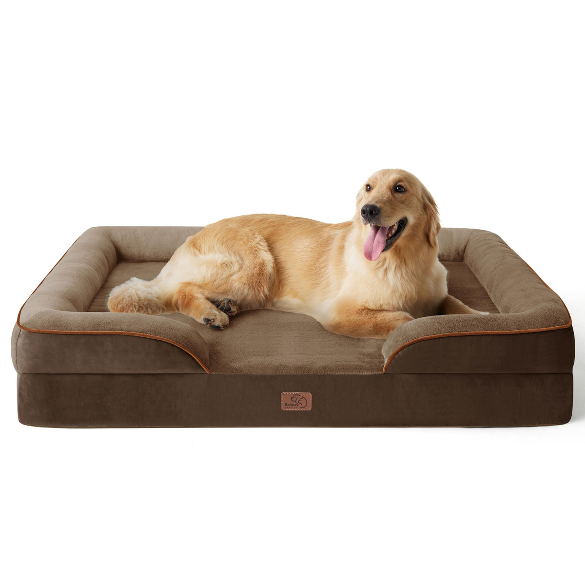 Bolstered Foam Dog Bed