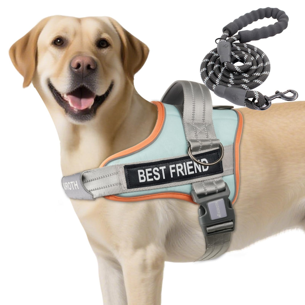 Padded Dog Harness & Leash Set