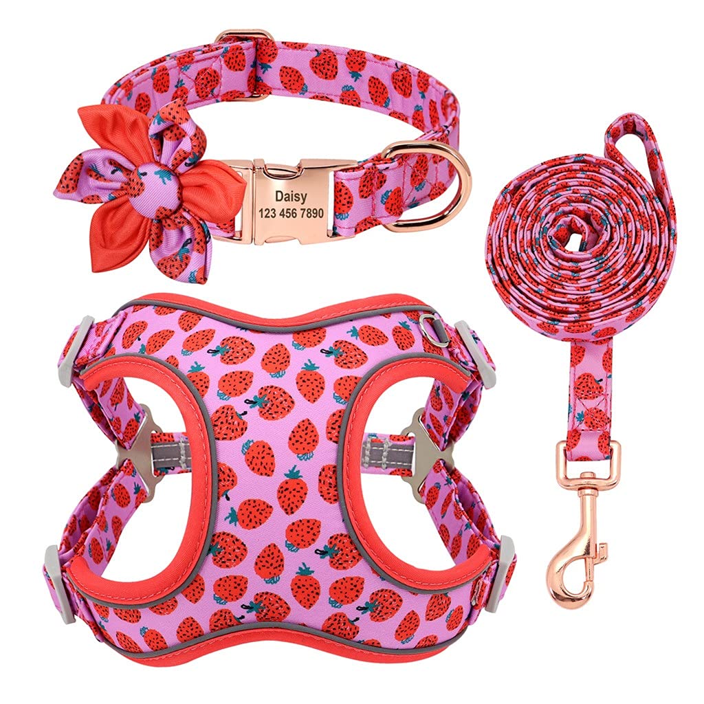 Personalized Dog Harness Vest