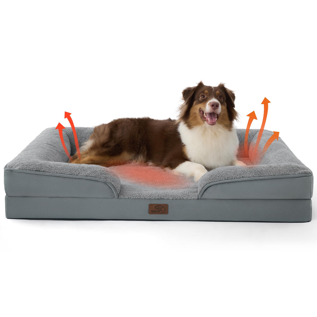 Bolstered Foam Dog Bed