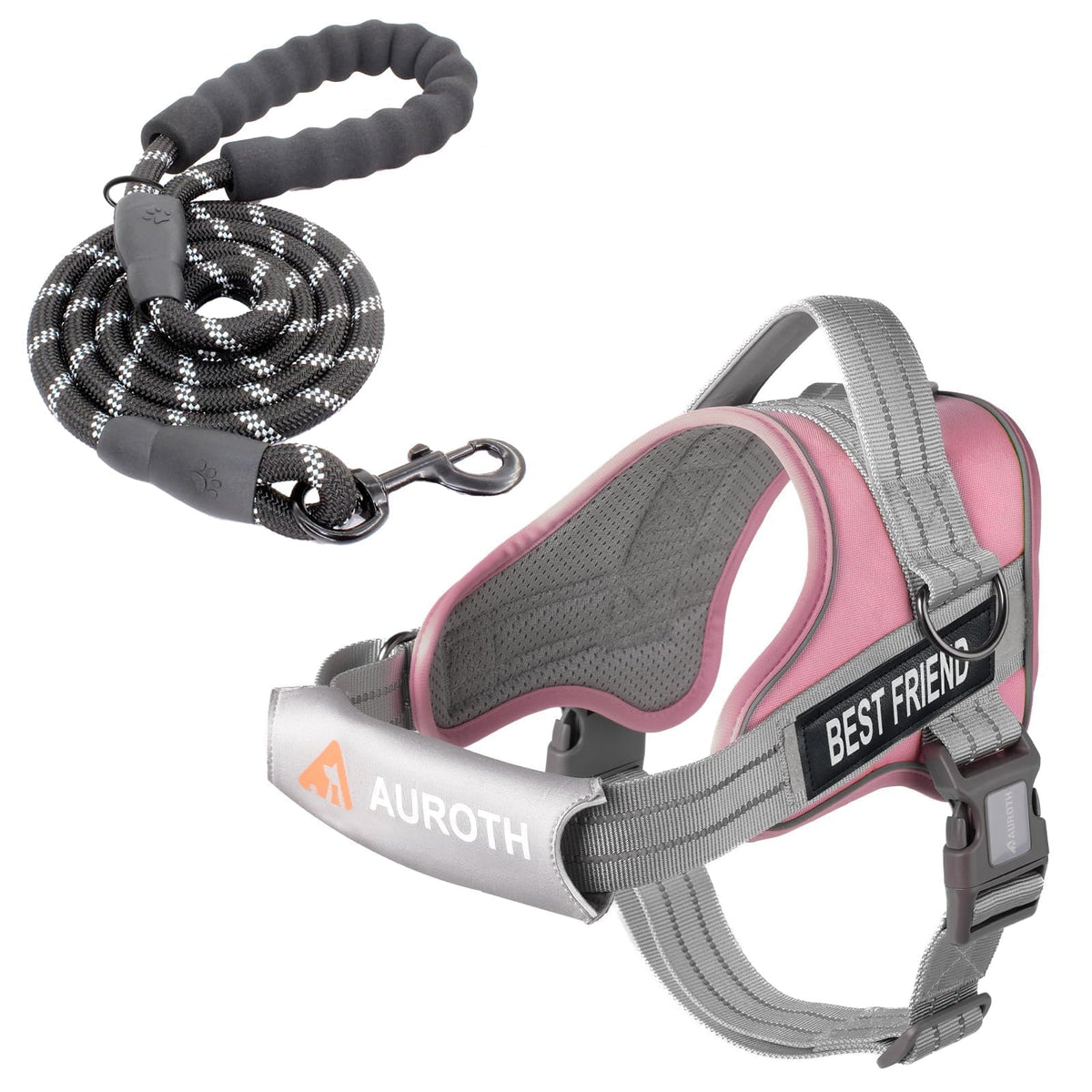 Padded Dog Harness & Leash Set