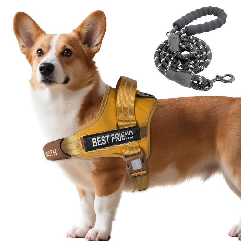 Padded Dog Harness & Leash Set