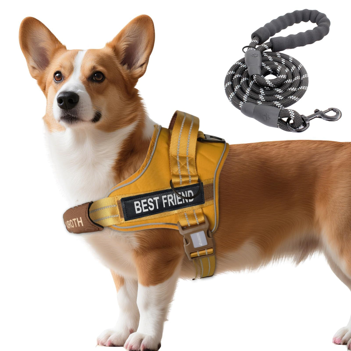 Padded Dog Harness & Leash Set