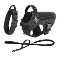 Adjustable Dog Harness, Collar & Leash Set