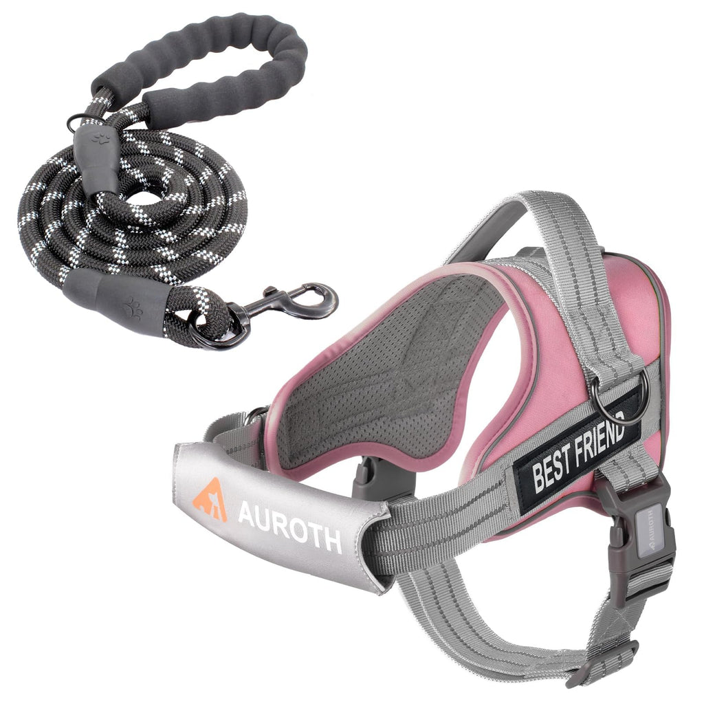 Padded Dog Harness & Leash Set