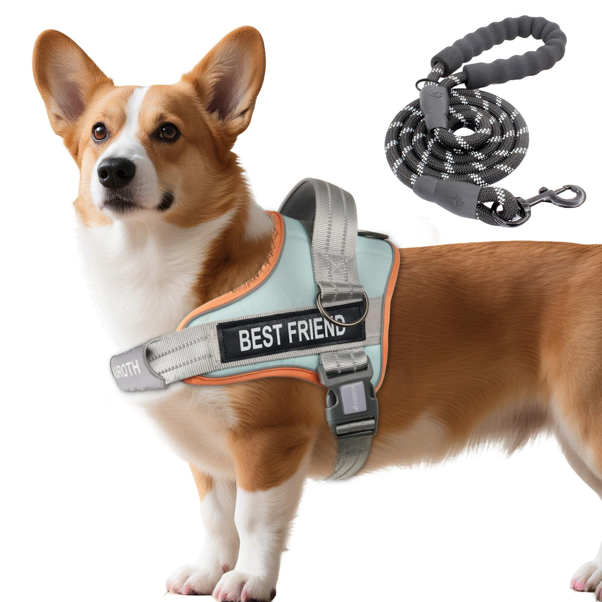 Padded Dog Harness & Leash Set