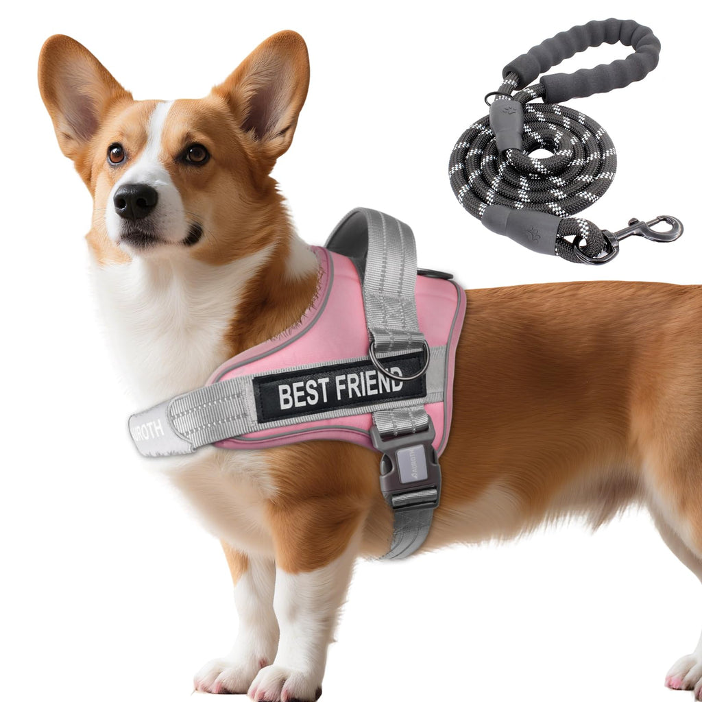 Padded Dog Harness & Leash Set