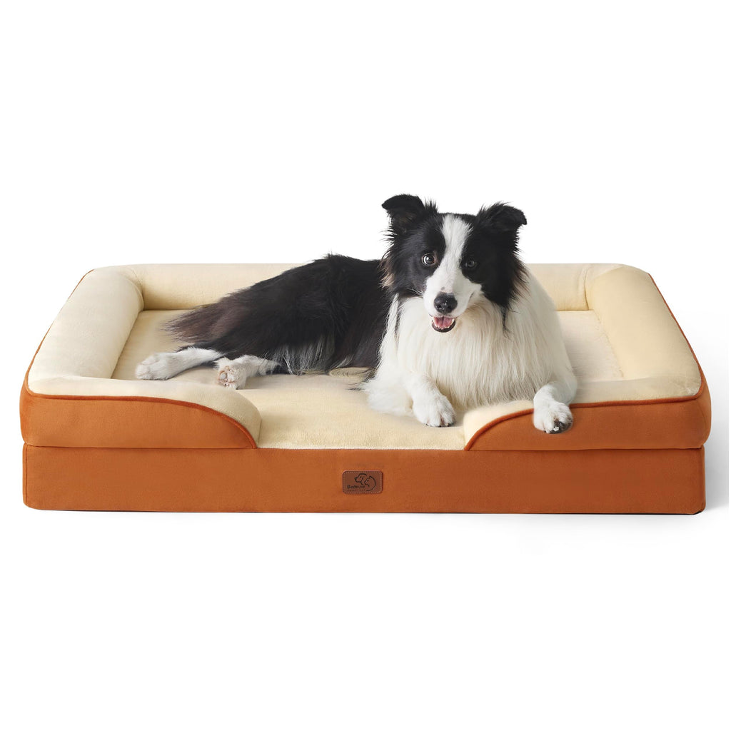 Bolstered Foam Dog Bed