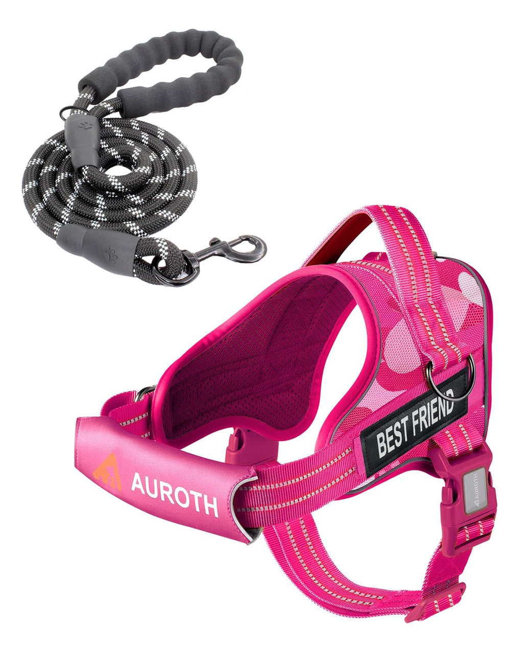 Padded Dog Harness & Leash Set