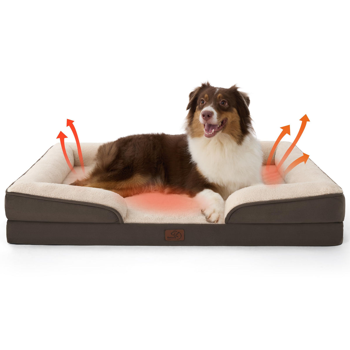 Bolstered Foam Dog Bed