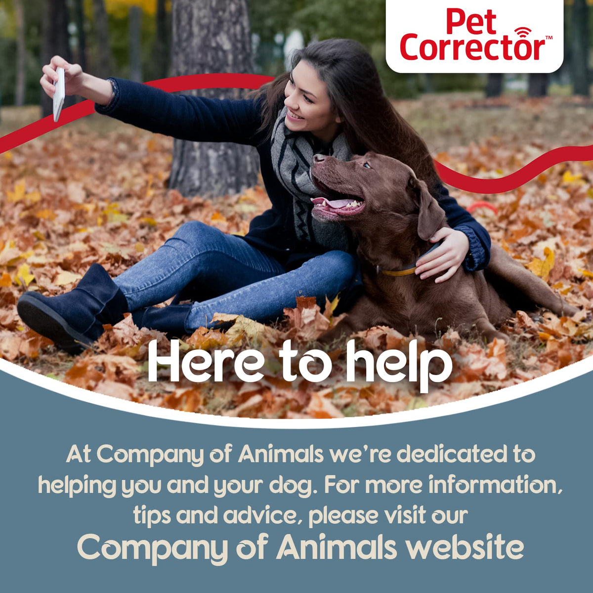 Air-Sound Dog Training Aid