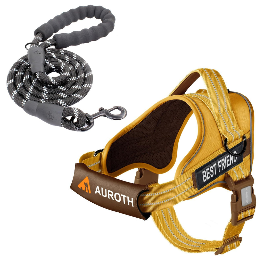 Padded Dog Harness & Leash Set
