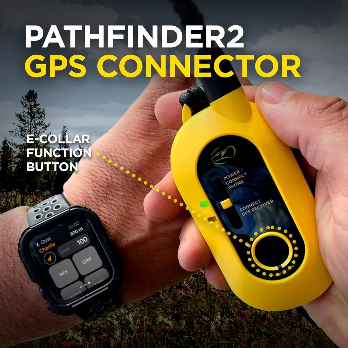 GPS Dog Tracking & Training System