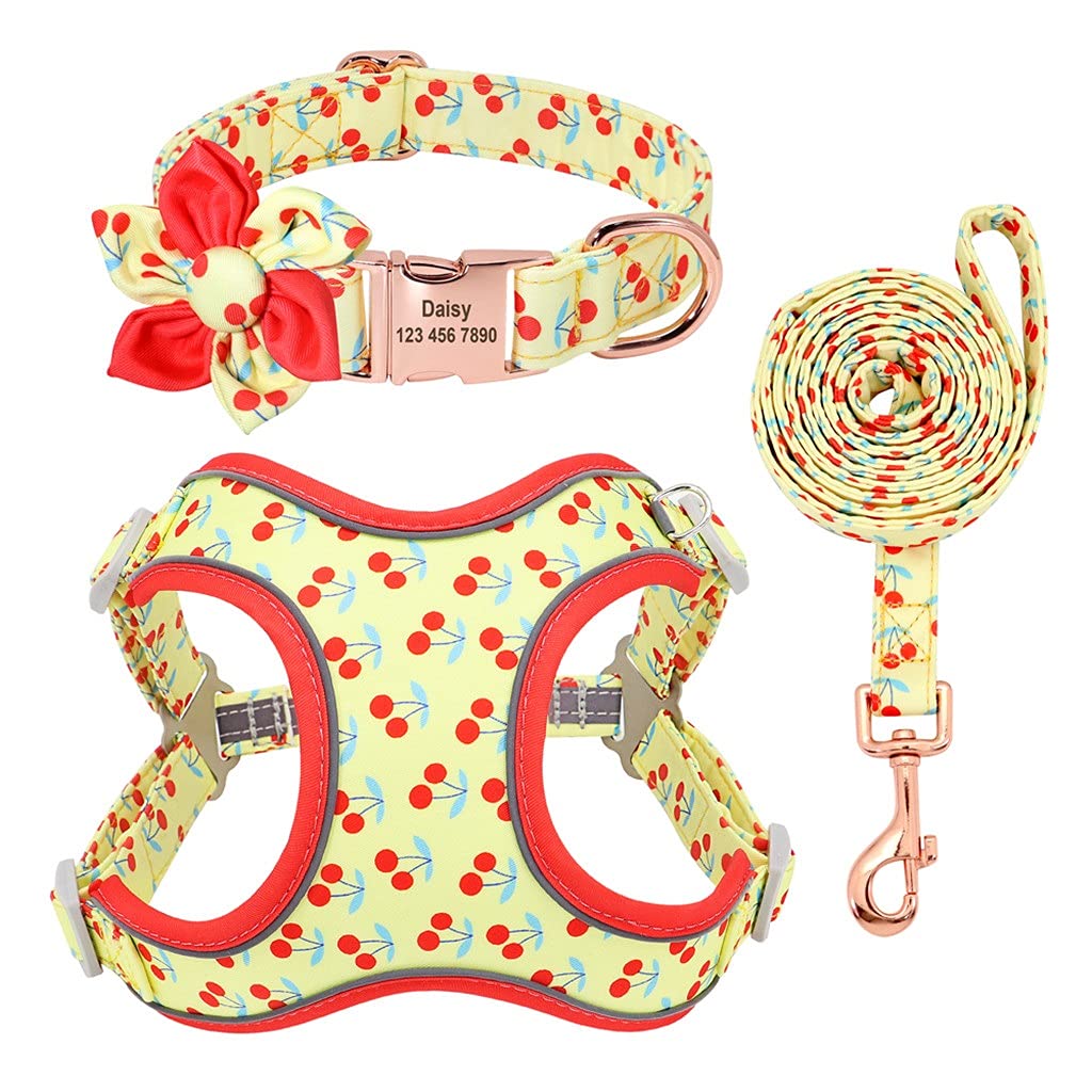 Personalized Dog Harness Vest