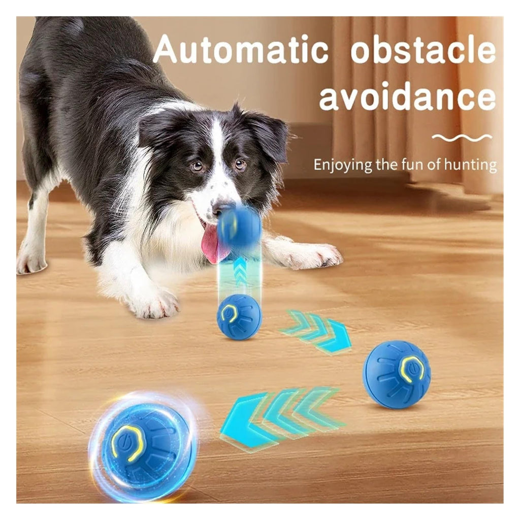 Self-Rolling Pet Play Ball