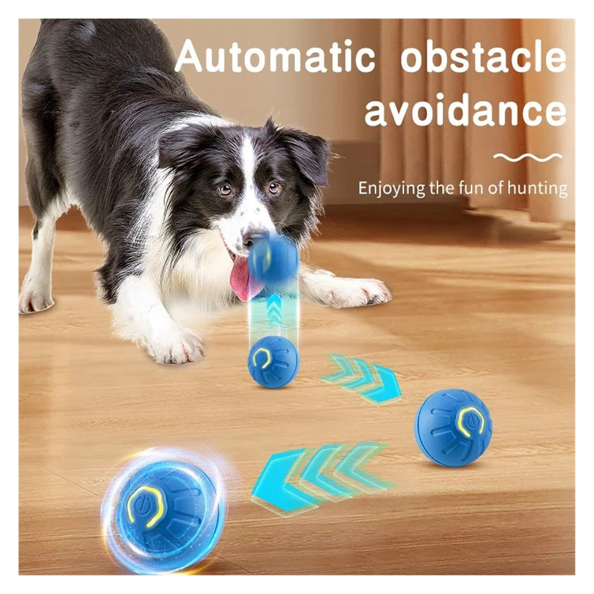 Self-Rolling Pet Play Ball