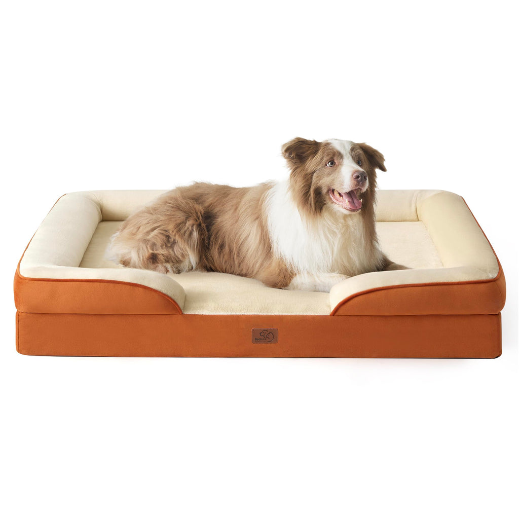 Bolstered Foam Dog Bed