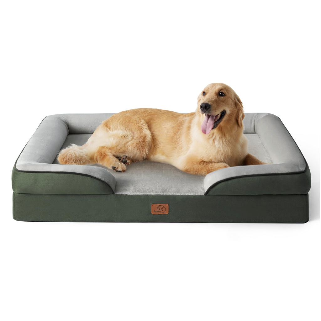 Bolstered Foam Dog Bed