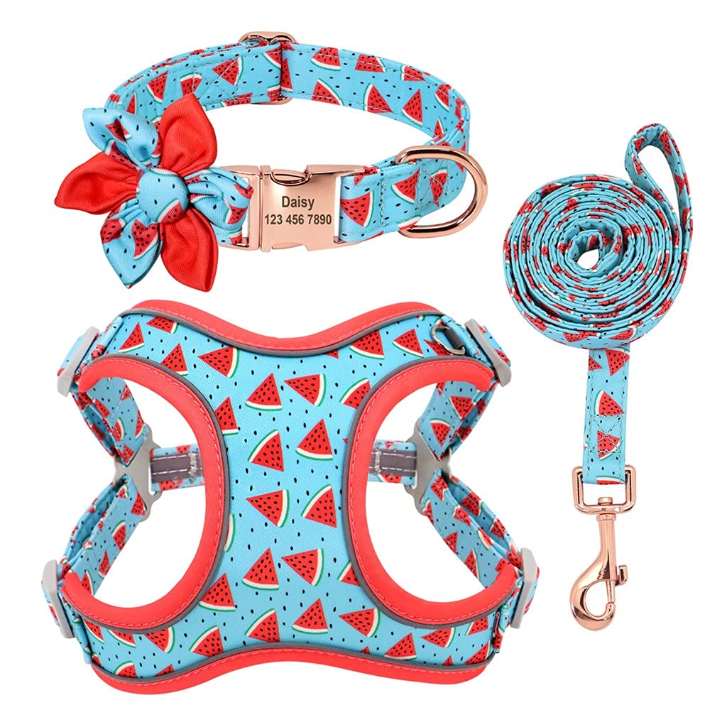 Personalized Dog Harness Vest