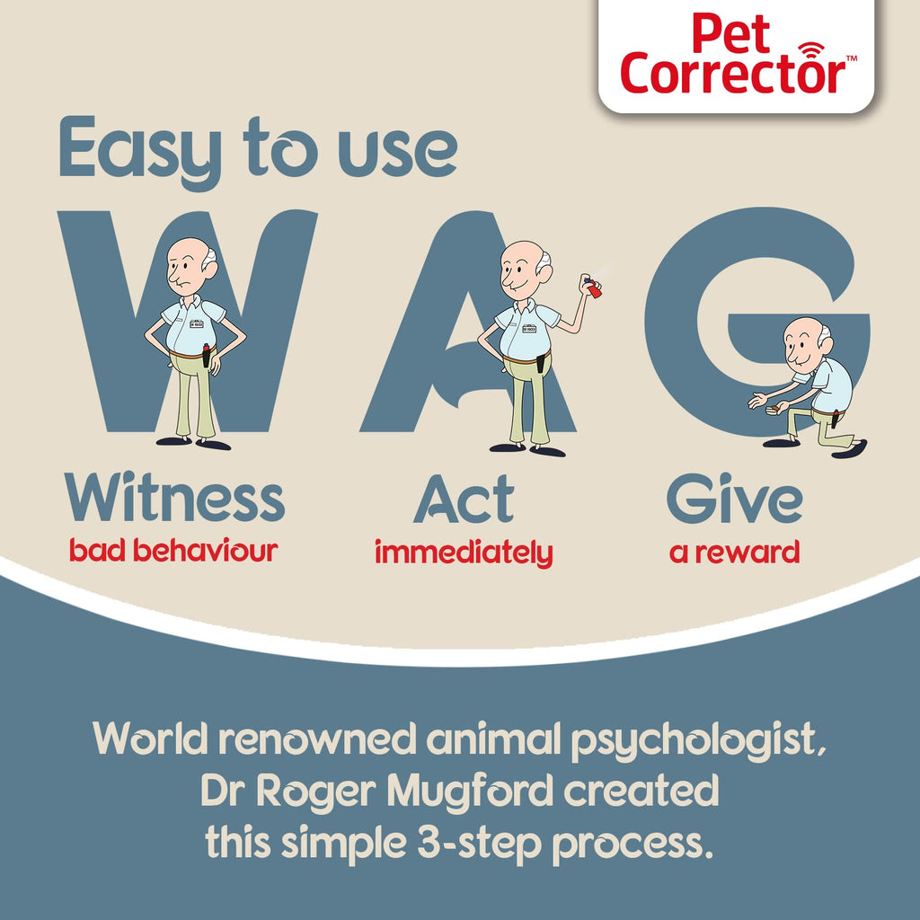 Air-Sound Dog Training Aid