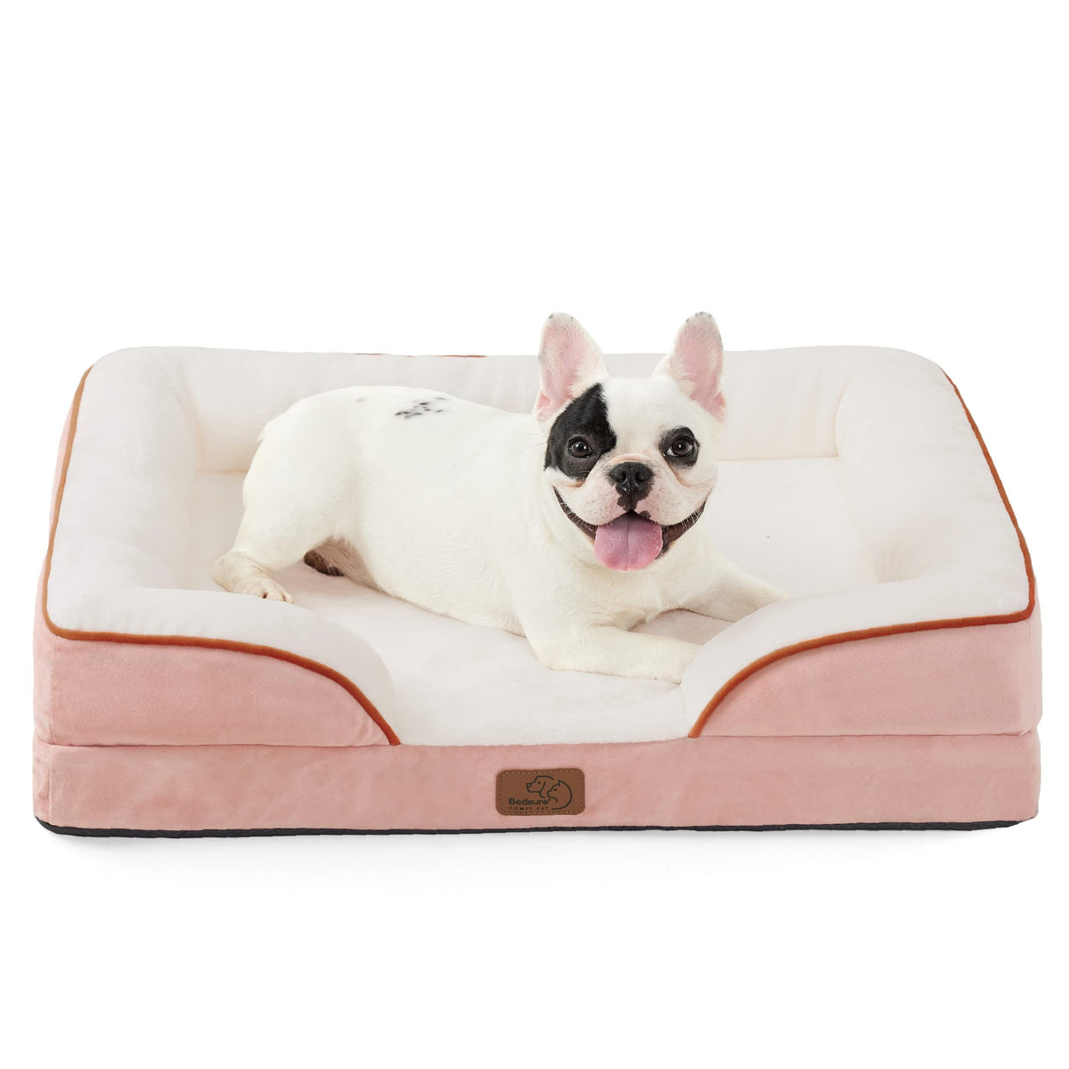 Bolstered Foam Dog Bed