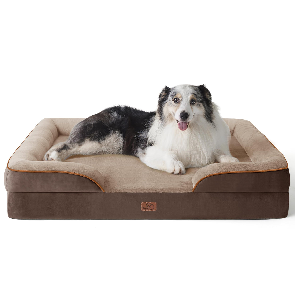 Bolstered Foam Dog Bed