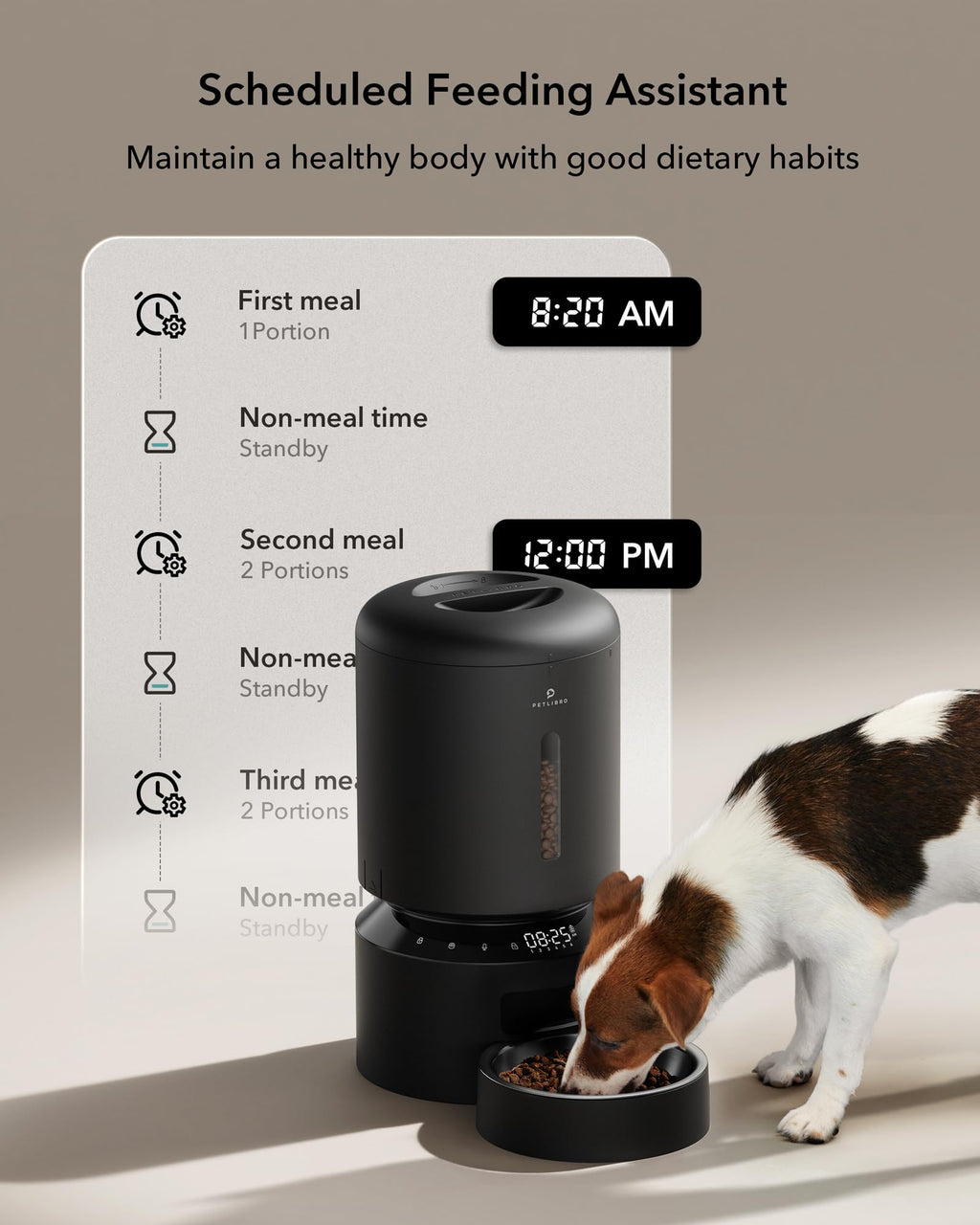 5L Dual-Bowl Automatic Feeder