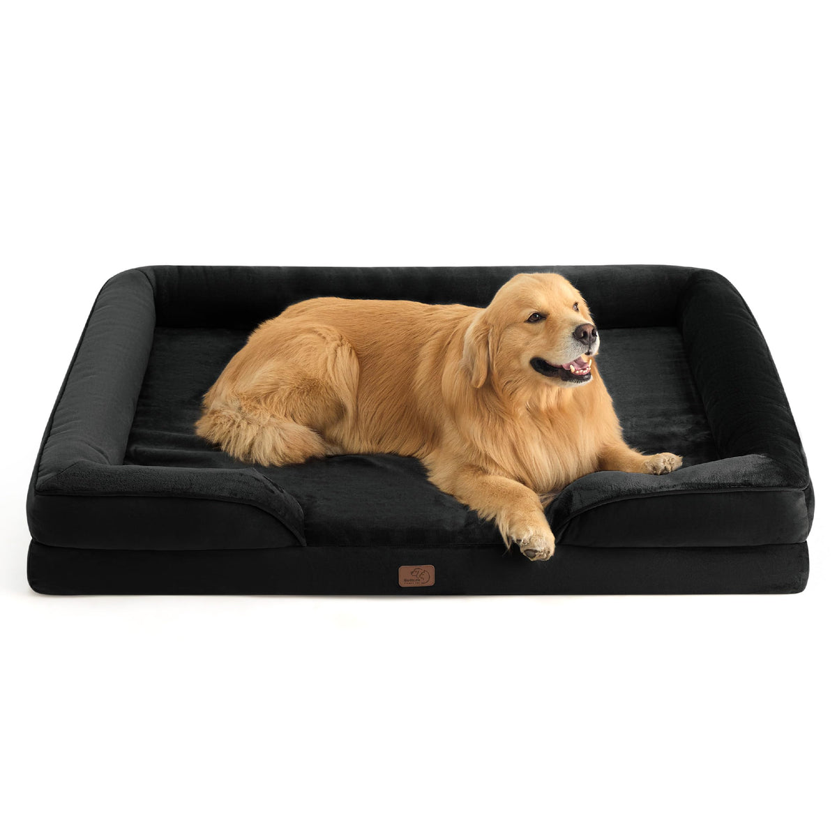 Bolstered Foam Dog Bed
