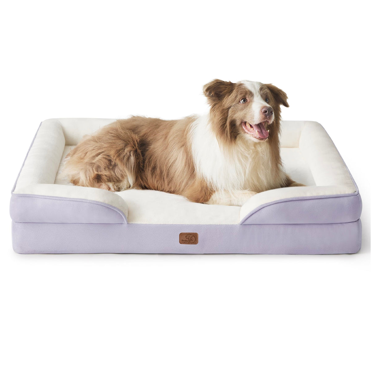 Bolstered Foam Dog Bed
