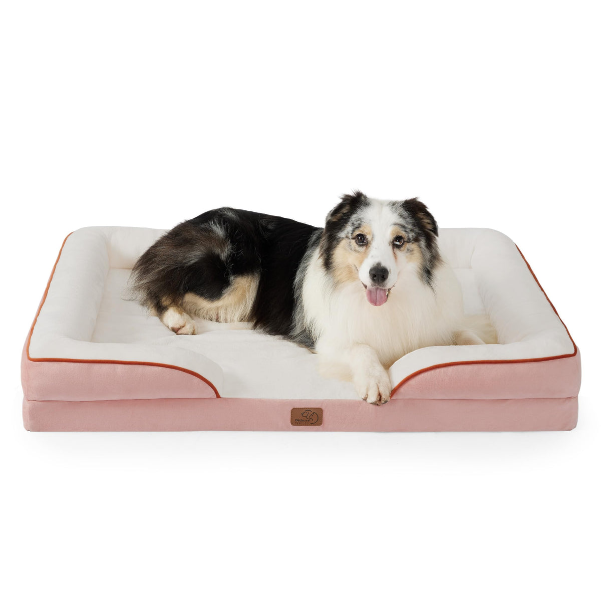 Bolstered Foam Dog Bed