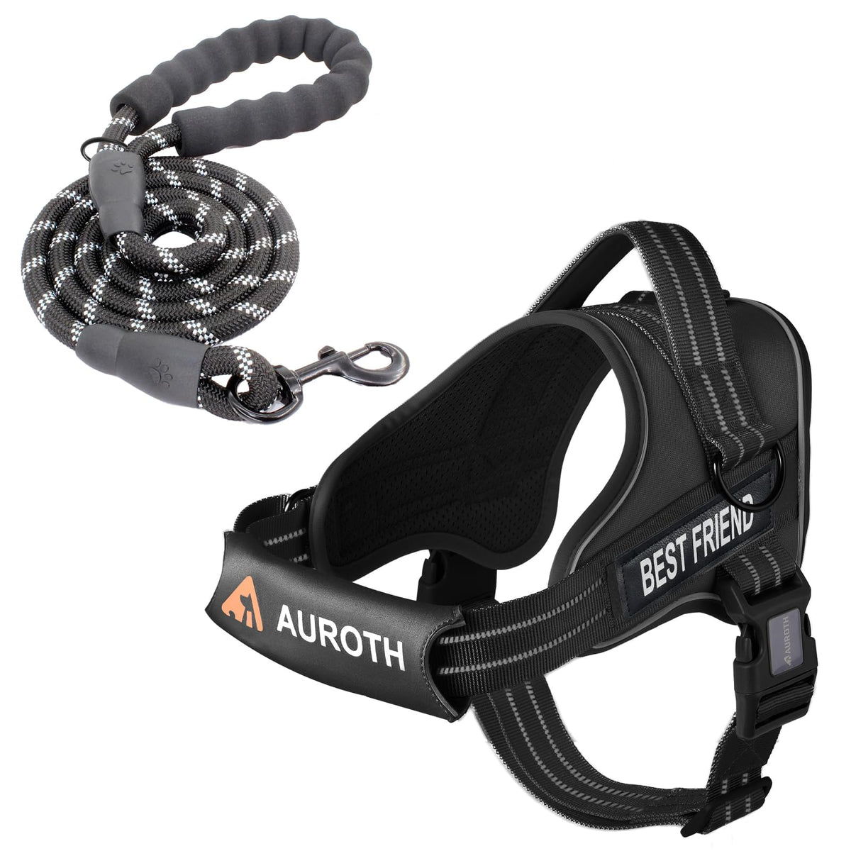 Padded Dog Harness & Leash Set