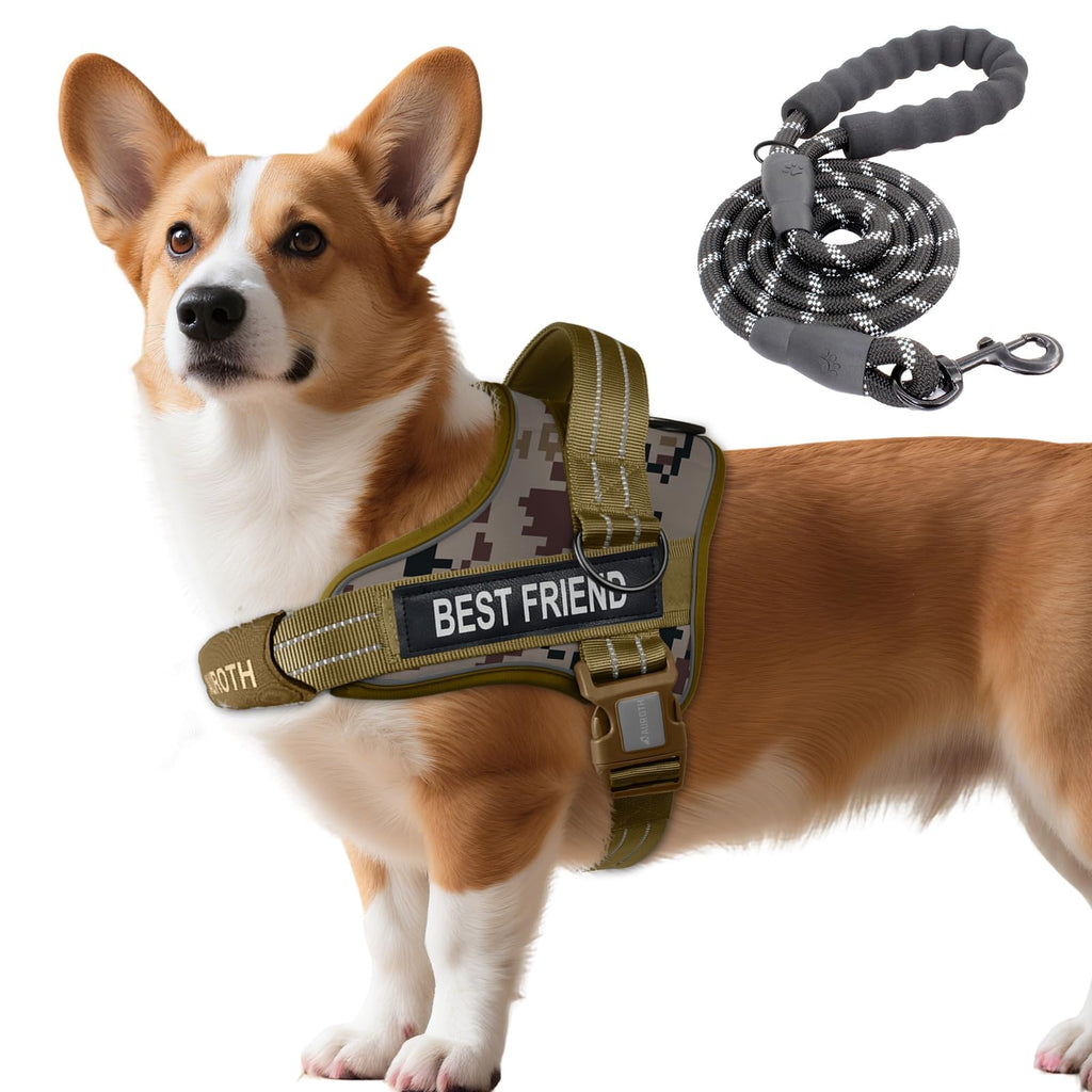 Padded Dog Harness & Leash Set