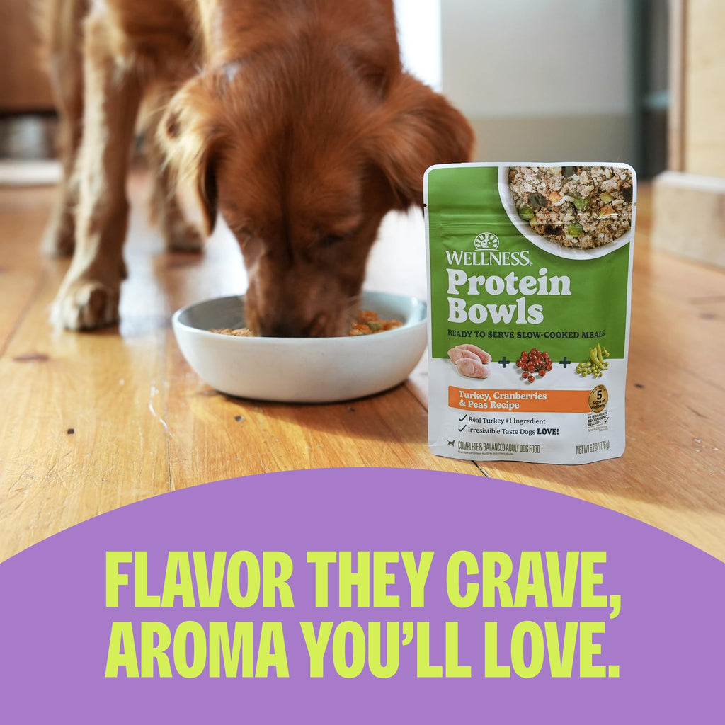 Chicken & Grain Wet Dog Food, 6 Pack