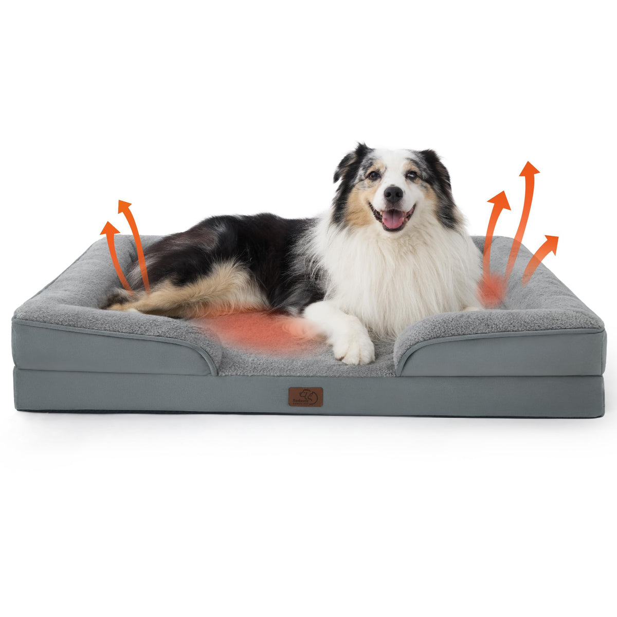 Bolstered Foam Dog Bed