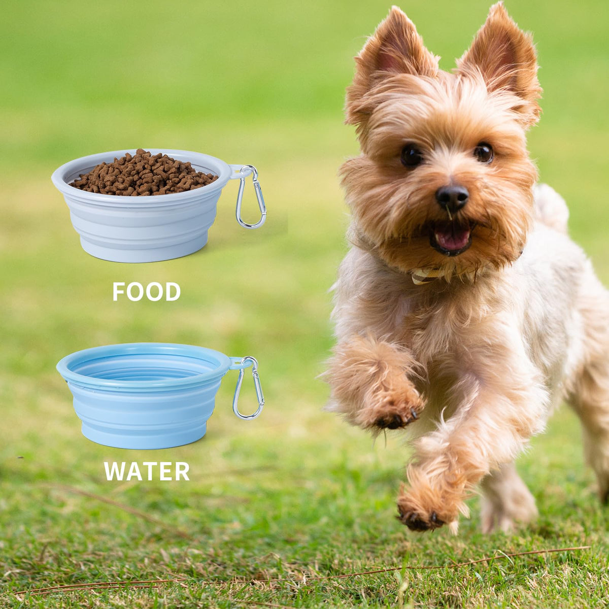 Collapsible Silicone Travel Bowls