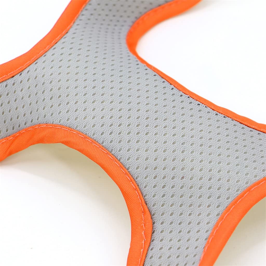 Personalized Dog Harness Vest