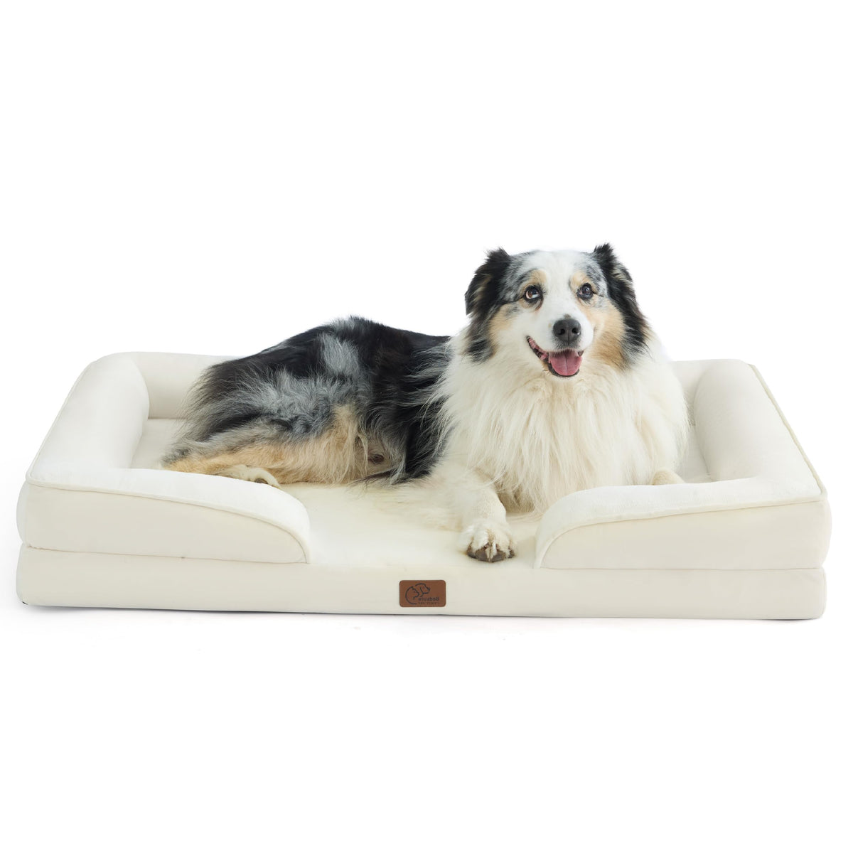 Bolstered Foam Dog Bed