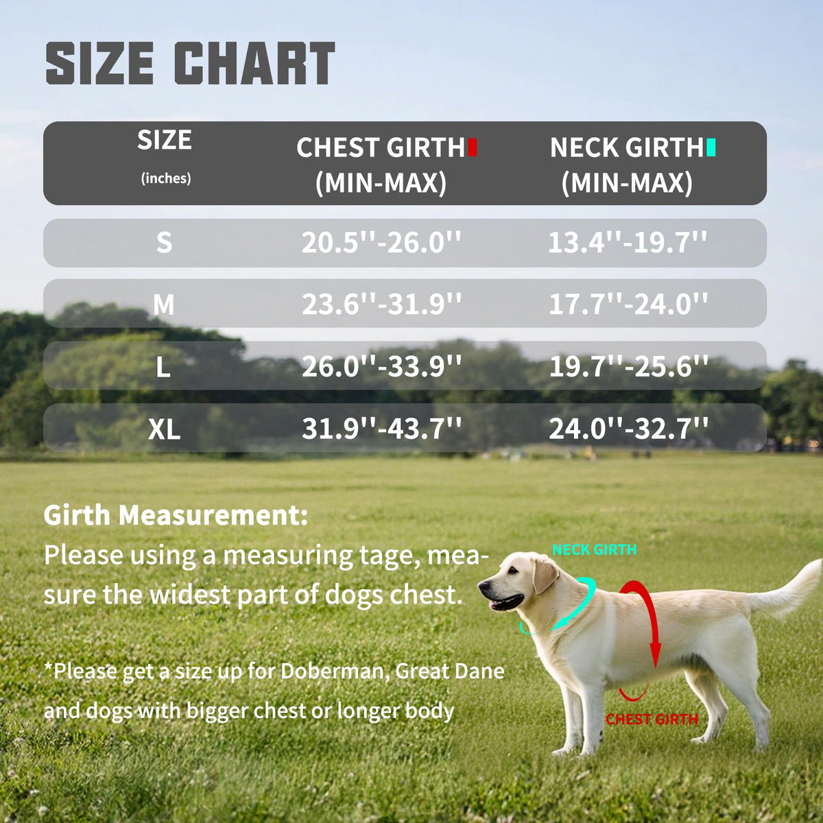 Padded Dog Harness & Leash Set
