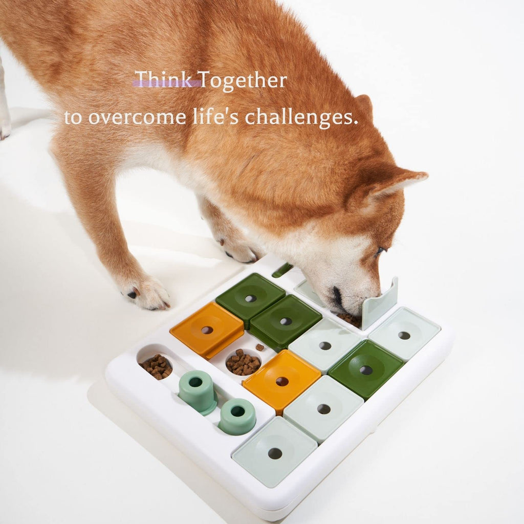 Multi-Level Dog Treat Puzzle