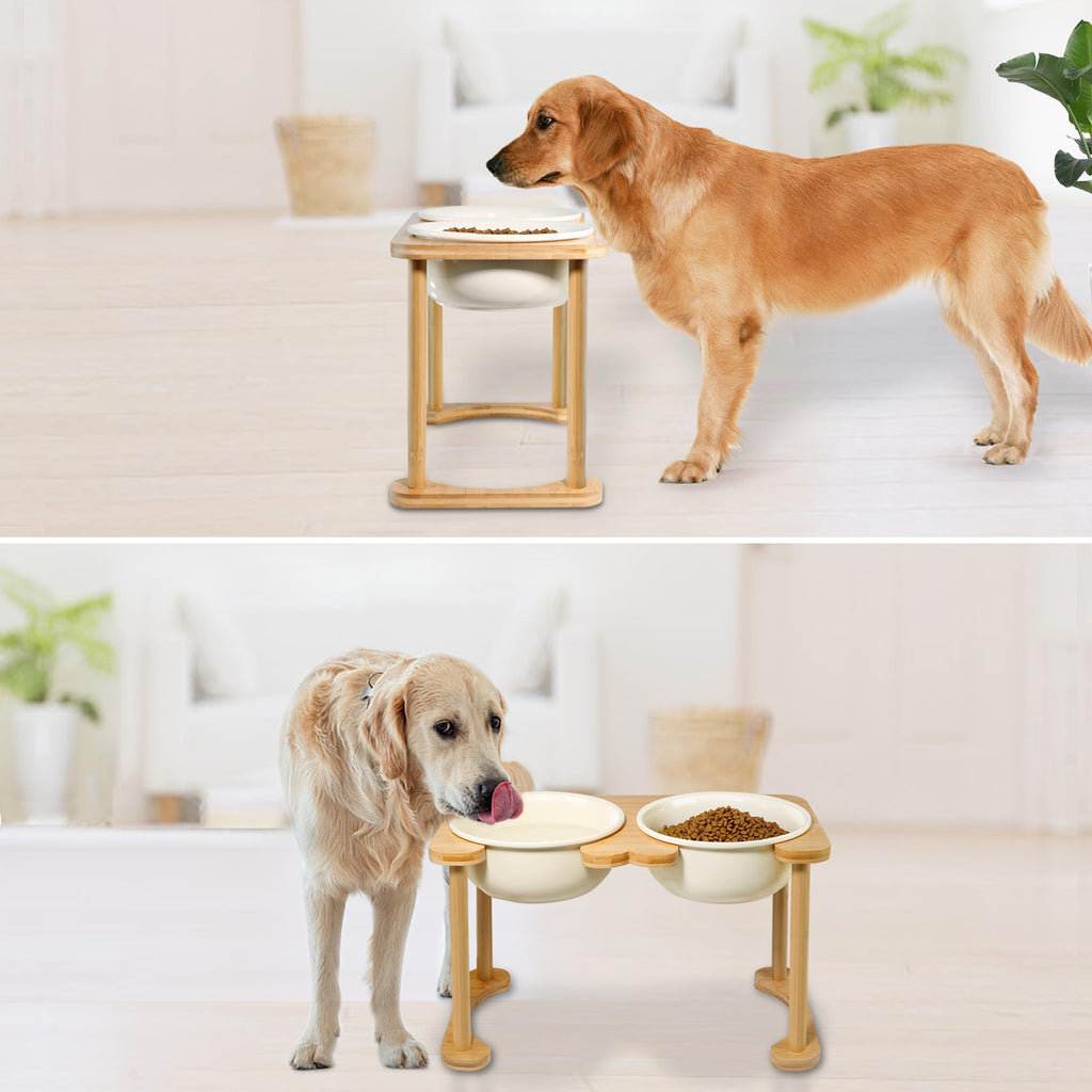 Raised Ceramic Dog Bowl Set