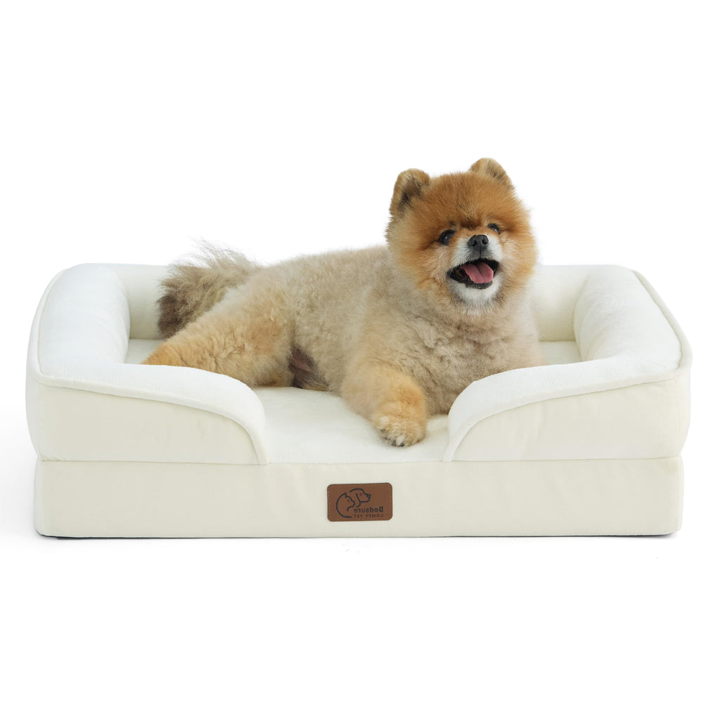 Bolstered Foam Dog Bed