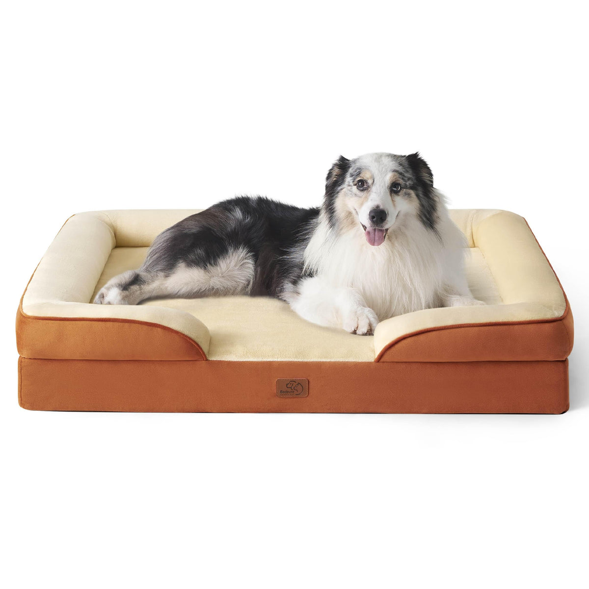 Bolstered Foam Dog Bed