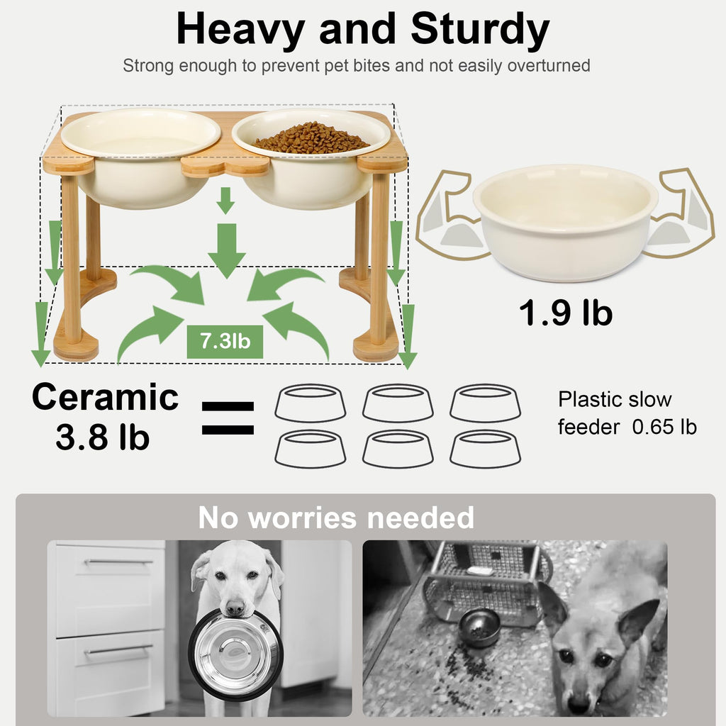 Raised Ceramic Dog Bowl Set