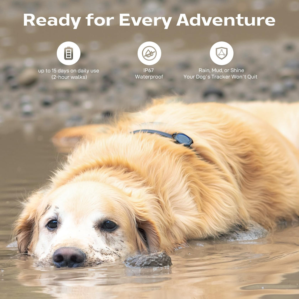 Off-Grid GPS Dog Tracker